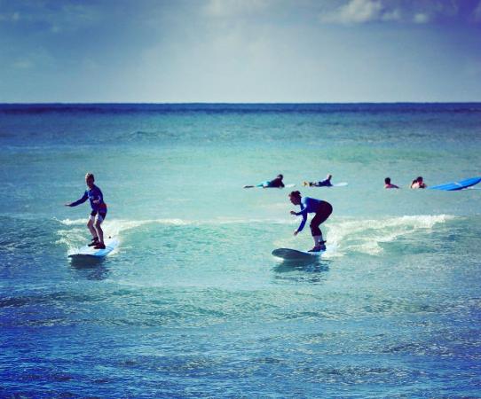 hook up surfing honolulu